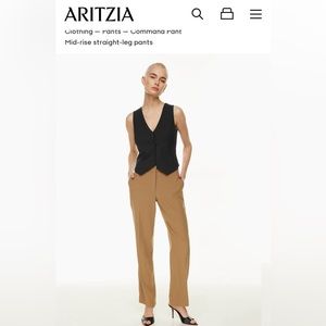 Aritzia Babaton Command Pant